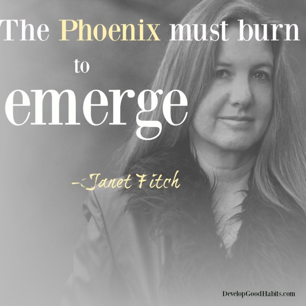 janet-fitch-success-quotes